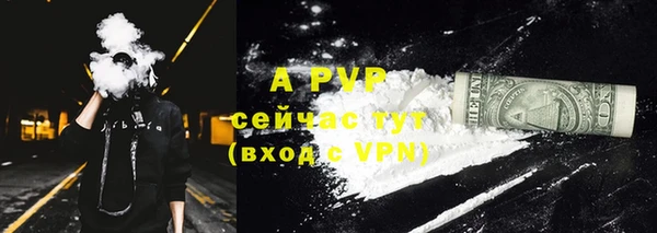 крисы Алексин