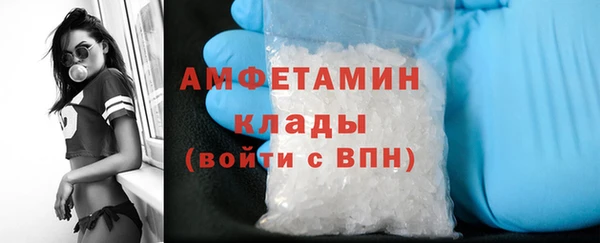 крисы Алексин