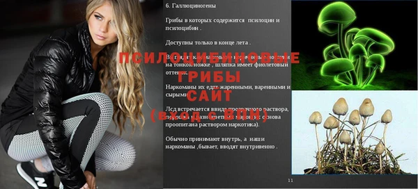 крисы Алексин