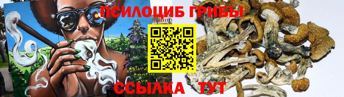 Миасс  цены   Галлюциногенные грибы прущие грибы  Вход с VPN  Галлюциногенные грибы Magic Shrooms 
